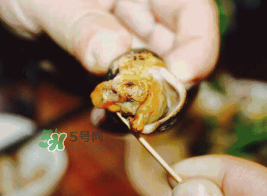 海螺多少錢一斤 海螺要煮多長(zhǎng)時(shí)間