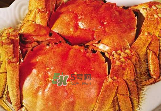 大閘蟹不能和什么一起吃？大閘蟹和什么食物相克？