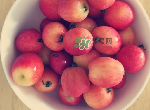 海棠果是涼性的嗎？海棠果是熱性還是涼性