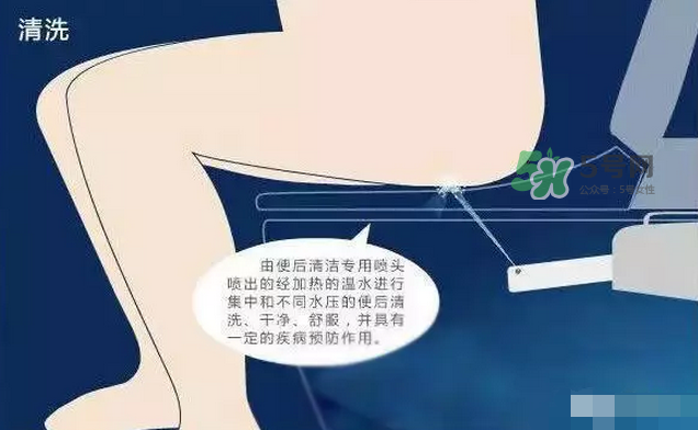 孕期可以蹲著上廁所嗎？孕期上廁所會壓到寶寶嗎？
