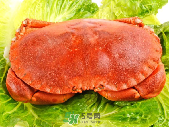 面包蟹和帝王蟹哪個好吃？面包蟹好吃還是帝王蟹好吃？