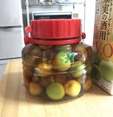 自制青梅酒的做法 青梅酒泡多久可以喝？