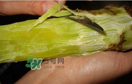 青筍怎么處理？青筍怎么切成菱形