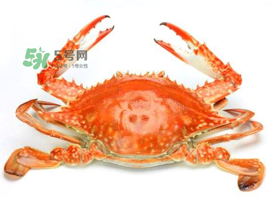 ?花蟹可以放冰箱嗎？花蟹怎么保存才新鮮？