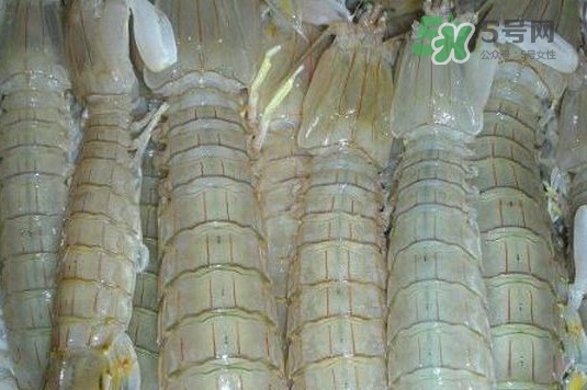 蝦蛄怎么讀？蝦蛄多少錢一斤
