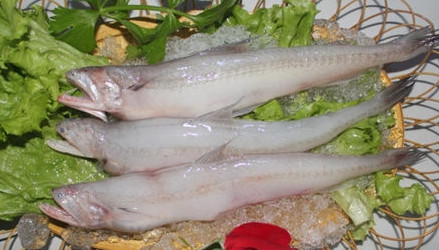 龍頭魚怎么做好吃？龍頭魚干怎么做好吃