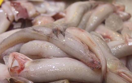 龍頭魚怎么做好吃？龍頭魚干怎么做好吃