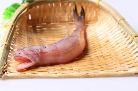 龍頭魚怎么做好吃？龍頭魚干怎么做好吃