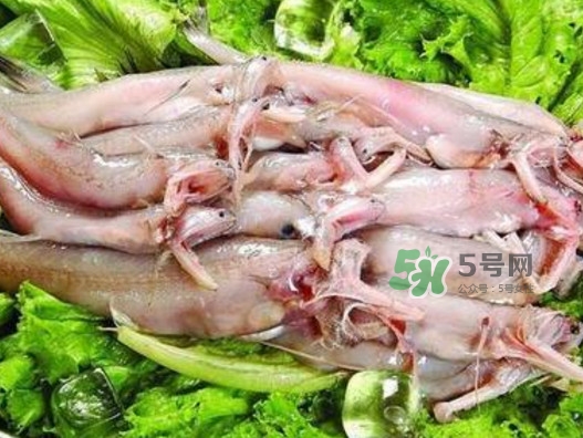 龍頭魚還有別的名嗎？龍頭魚有哪幾種做法