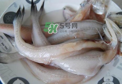 龍頭魚怎么殺？龍頭魚怎么處理？