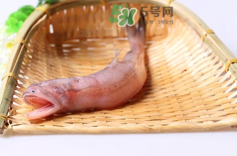 龍頭魚身是什么神獸？龍頭魚身是什么寓意