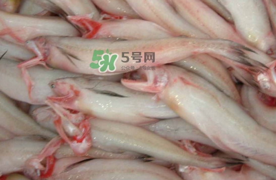 龍頭魚怎么炸？龍頭魚怎么做湯