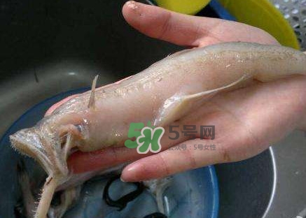 水潺湯怎么做？水潺燉豆腐的做法