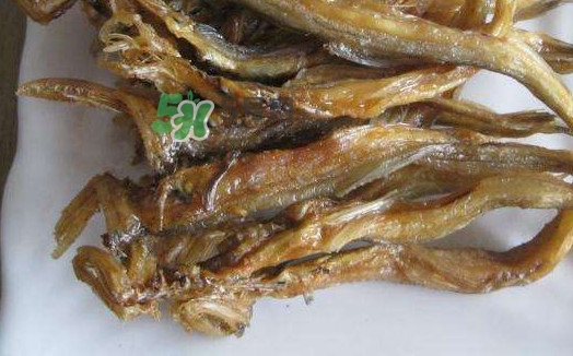 水潺湯怎么做？水潺燉豆腐的做法