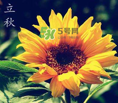 立秋后是不是早晚天氣涼？立秋后天氣有什么變化？