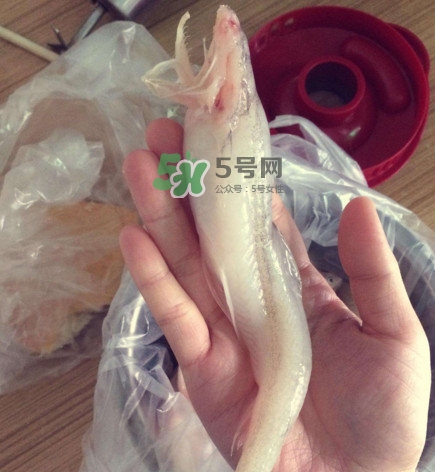 海鮮水潺孕婦可以吃嗎？水潺魚的營(yíng)養(yǎng)價(jià)值