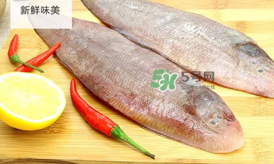 龍利魚(yú)多少錢(qián)一斤？龍利魚(yú)是什么魚(yú)