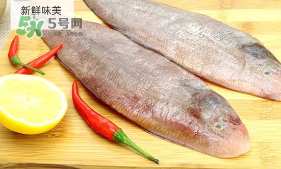 龍利魚(yú)怎么挑選？龍利魚(yú)與越南巴沙魚(yú)的區(qū)別