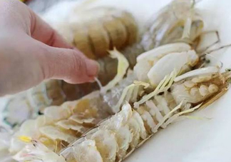 蝦蛄怎么讀？蝦蛄多少錢(qián)一斤