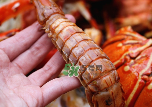 蝦蛄怎么吃？蝦蛄怎么做好吃？