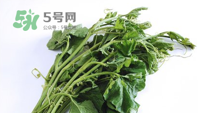 南瓜苗怎么做好吃？南瓜苗怎么撕？