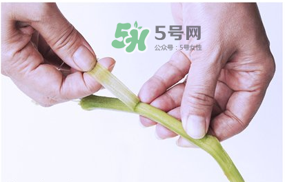 南瓜苗怎么做好吃？南瓜苗怎么撕？