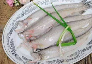 海鮮水潺孕婦可以吃嗎？水潺魚的營(yíng)養(yǎng)價(jià)值