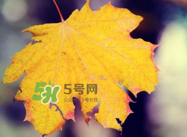 立秋后吃什么好？立秋后怎么養(yǎng)生？