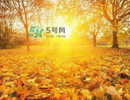 立秋后吃什么好？立秋后怎么養(yǎng)生？