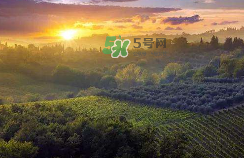 立秋后吃什么好？立秋后怎么養(yǎng)生？