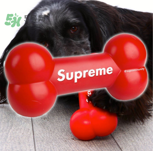 supreme狗骨頭玩具是真的嗎？supreme骨頭玩具會(huì)發(fā)售嗎？