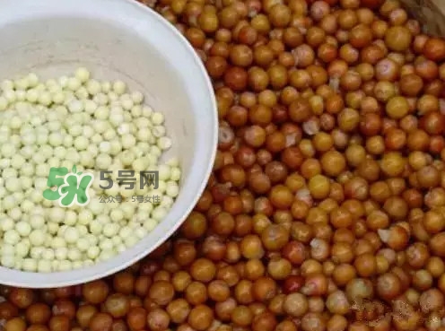 雞頭米一次吃多少合適？雞頭米可以多吃嗎