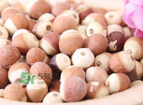 雞頭米是涼性的嗎？雞頭米是哪里的特產(chǎn)