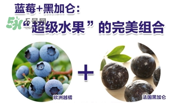 fancl藍莓護眼怎么樣？fancl藍莓護眼和pola護眼哪個好