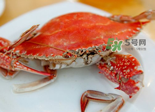梭子蟹可以清蒸嗎？梭子蟹蒸還是煮？