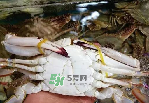 梭子蟹放冷藏還是冷凍？梭子蟹可以放速凍嗎？