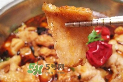 龍利魚有寄生蟲嗎？龍利魚有假的嗎