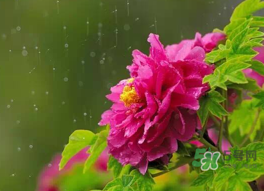 2017處暑會(huì)下雨嗎？處暑會(huì)下雨好嗎？