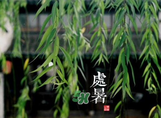 2017處暑還熱嗎？2017處暑后天氣還熱嗎？