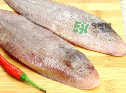 寶寶多大能吃龍利魚？幾個(gè)月的寶寶可以吃龍利魚