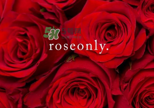 2017七夕禮盒roseonly多少錢？roseonly巨型玫瑰禮盒多少錢？