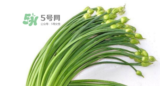 韭菜苔孕婦能吃嗎？孕婦可以吃韭菜苔嗎