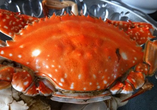 梭子蟹可以清蒸嗎？梭子蟹蒸還是煮？