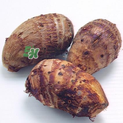 中秋節(jié)為什么吃芋頭？中秋節(jié)吃芋頭的來源