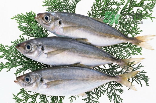 龍利魚(yú)是鱈魚(yú)嗎？龍利魚(yú)和鱈魚(yú)哪個(gè)好吃