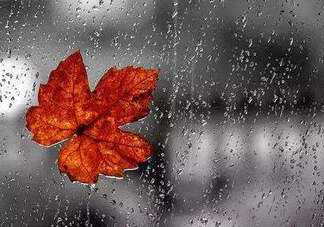 2017處暑會下雨嗎？處暑會下雨好嗎？