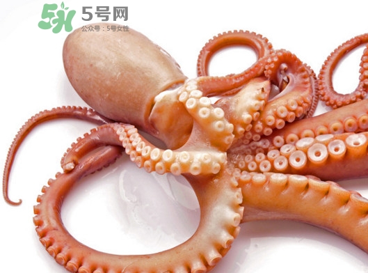 章魚血是什么顏色？章魚血為什么是藍色？