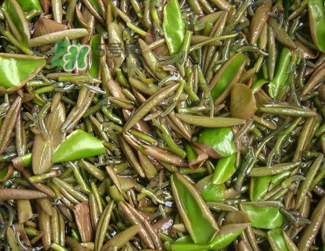 莼菜是發(fā)物嗎？莼菜涼拌要過開水嗎