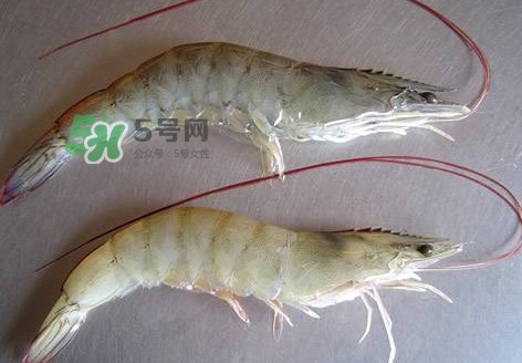 太湖白蝦多少錢一斤？太湖白蝦干多少錢一斤