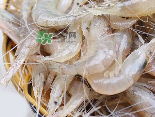白蝦是河蝦還是海蝦？白蝦是寒性的嗎